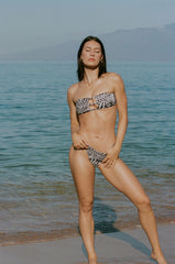 Hana top Leopard cone shell