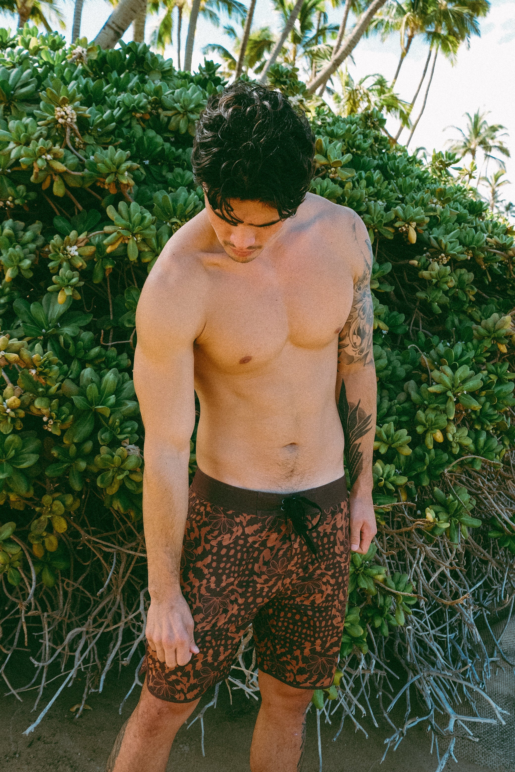 Naupaka Shell brown Board shorts