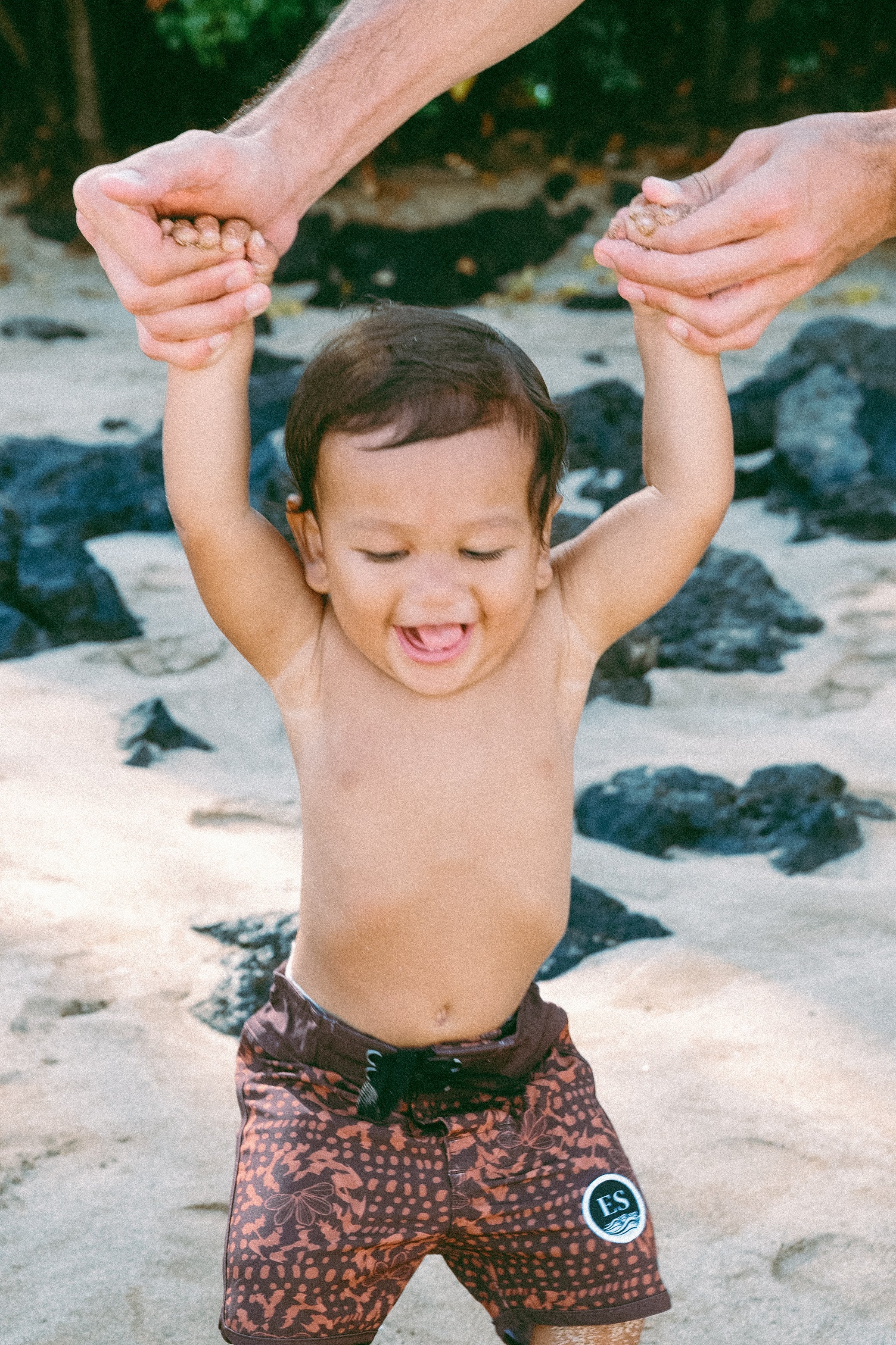 Keiki Naupaka shell brown board shorts