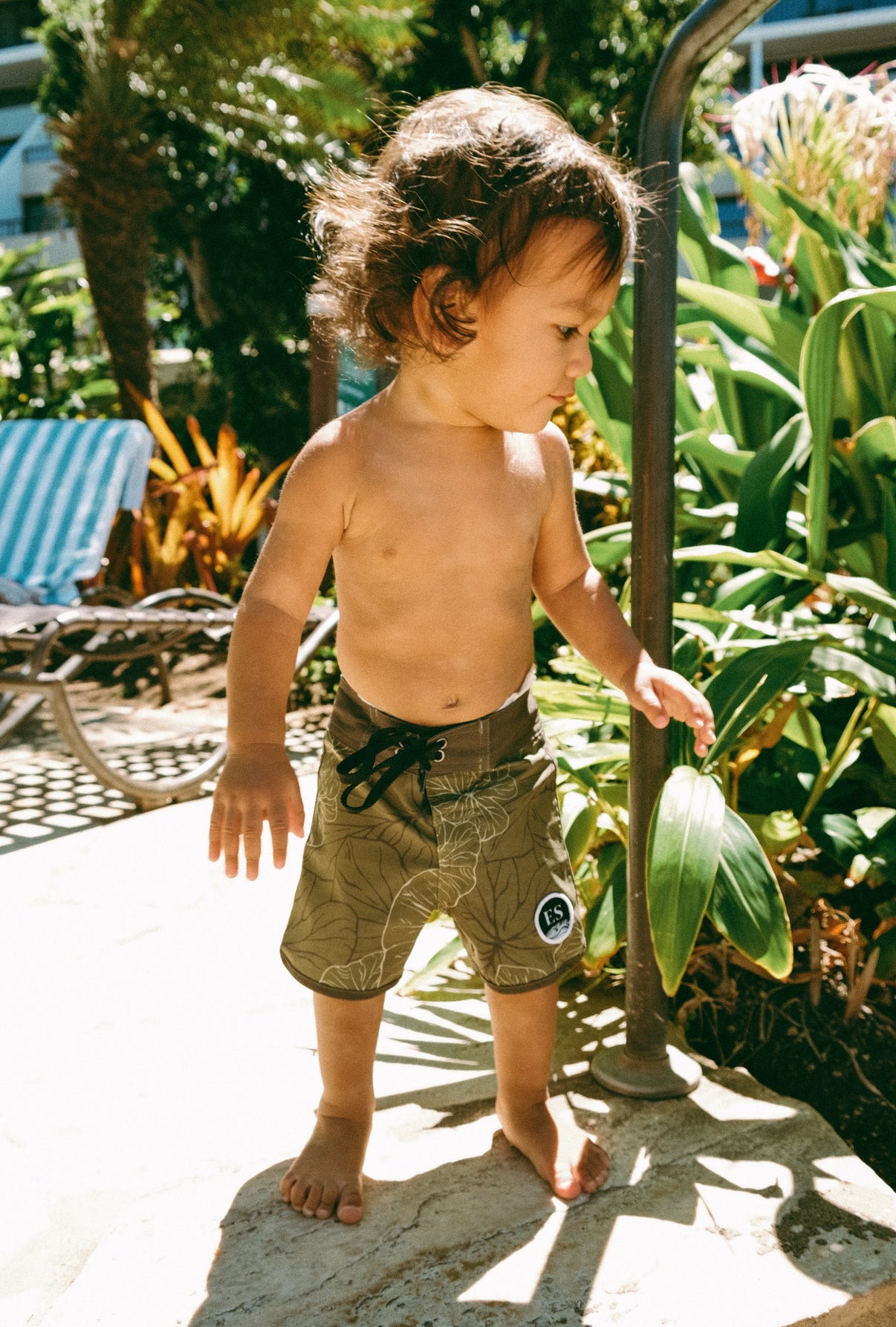 Keiki Kalo board shorts