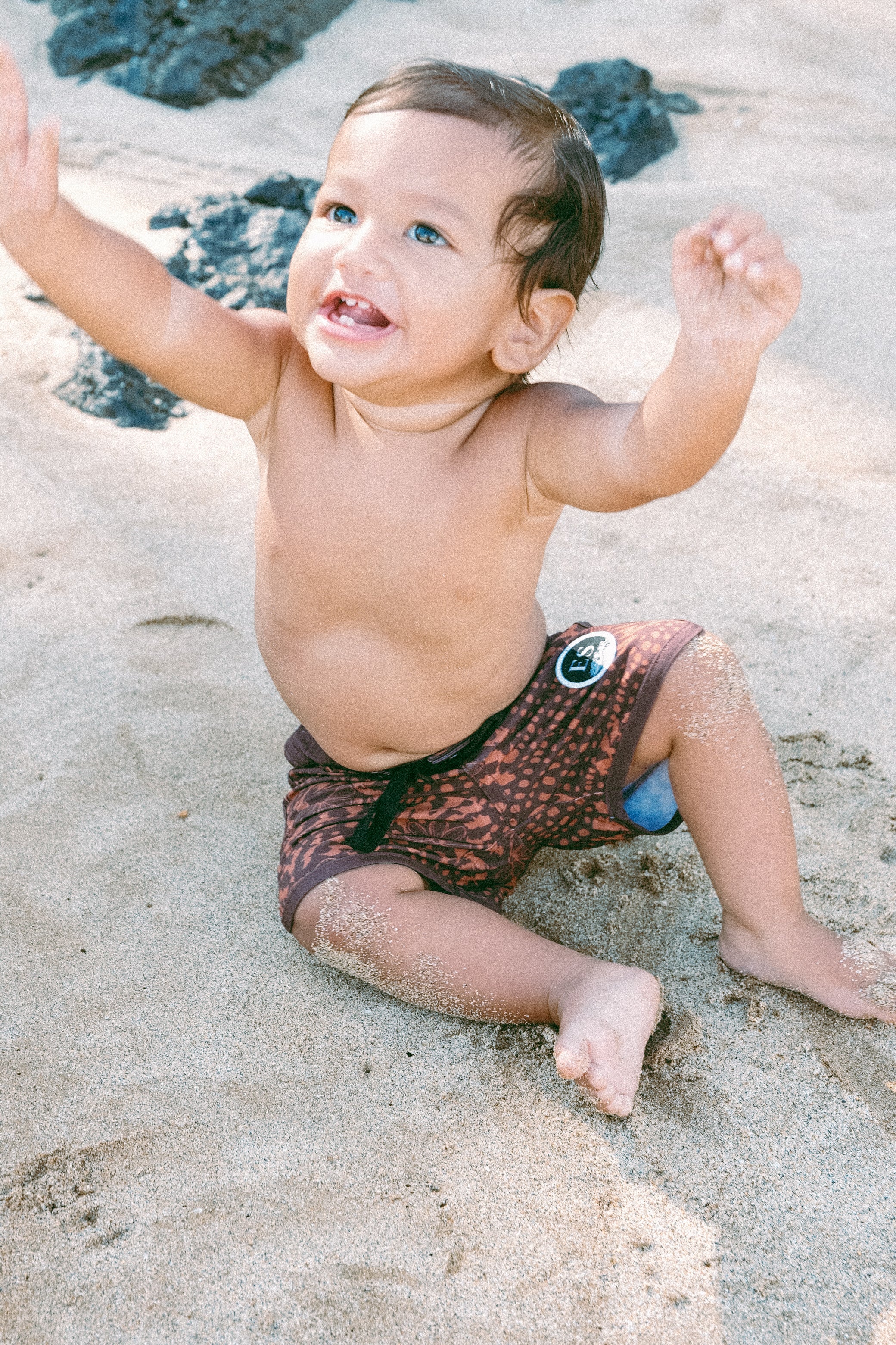 Keiki Naupaka shell brown board shorts