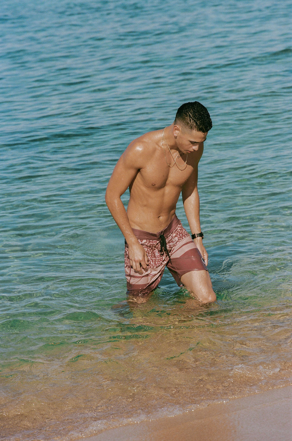 Naupaka shell Kane Board shorts