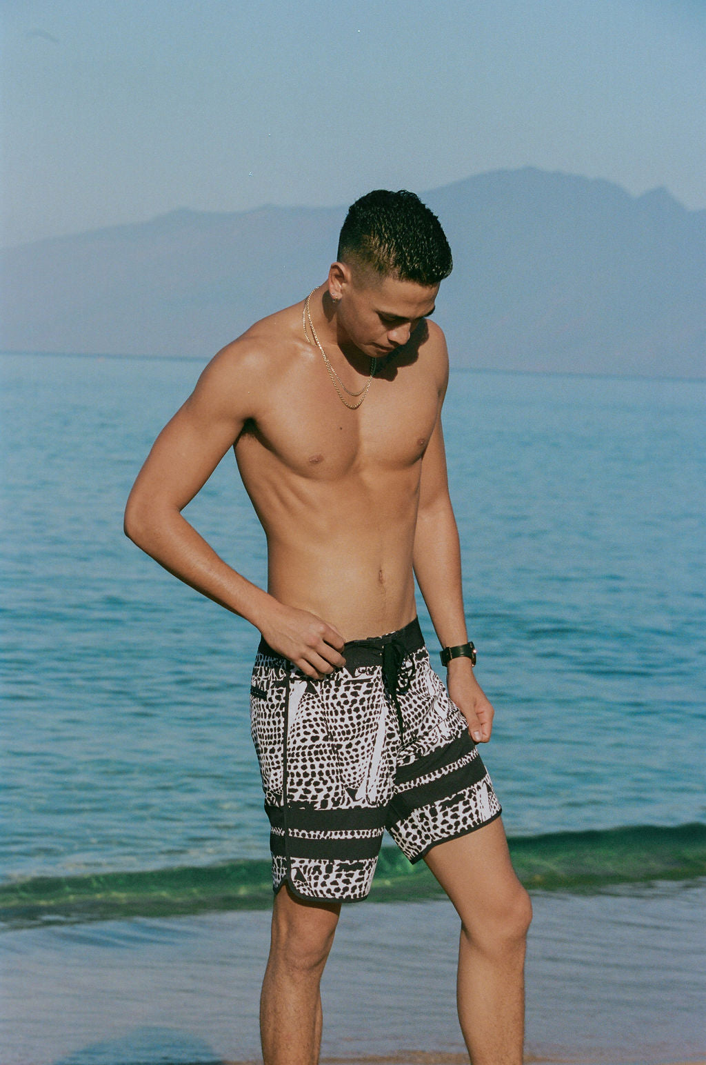 Leopard cone shell board shorts