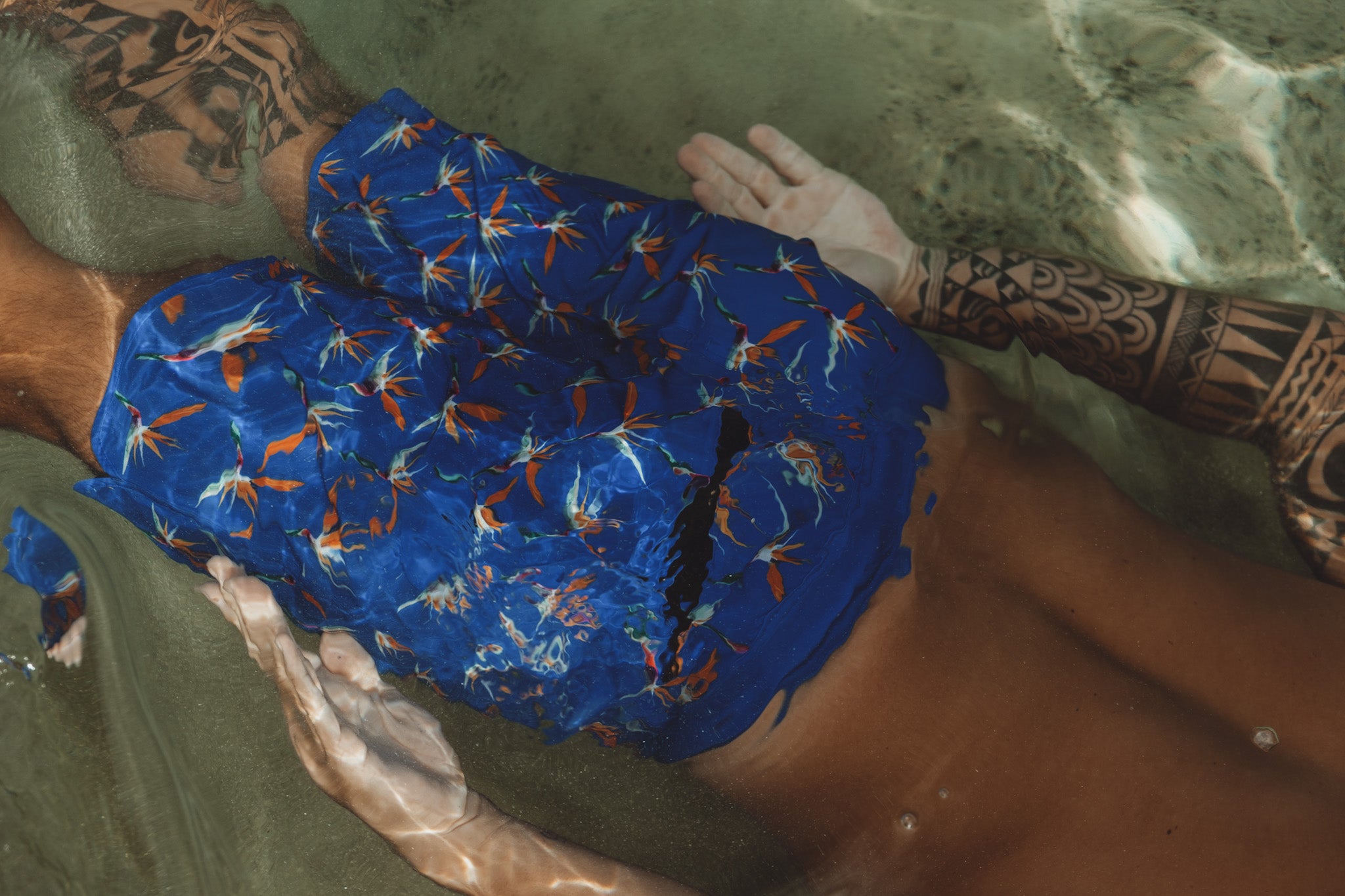 Royal Blue Bird of Paradise Men's