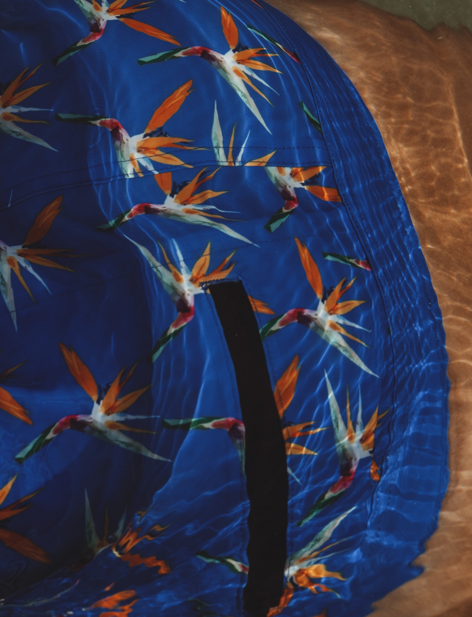 Royal Blue Bird of Paradise Men's